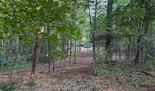 Photo #2 of TBD LOST VALLEY RD, EARLYSVILLE, VA 32.5 acres