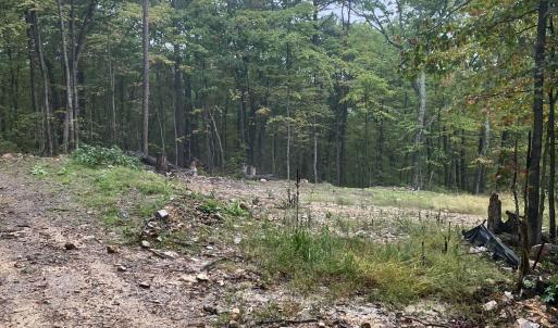 Photo #3 of TBD PANORAMA VIEW DR, STANLEY, VA 9.8 acres