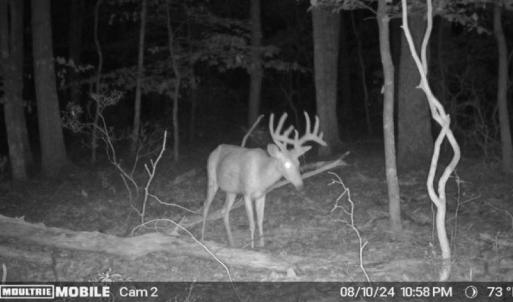 Photo #17 of TBD PANORAMA VIEW DR, STANLEY, VA 9.8 acres