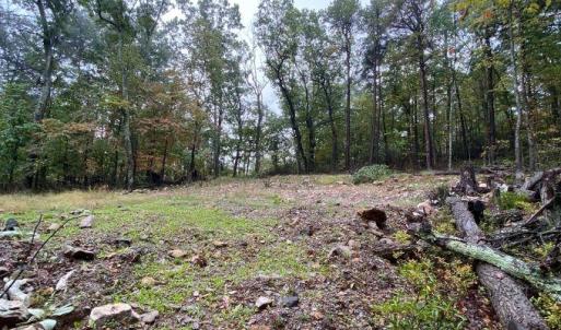 Photo #5 of TBD PANORAMA VIEW DR, STANLEY, VA 9.8 acres