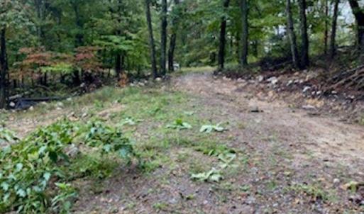 Photo #6 of TBD PANORAMA VIEW DR, STANLEY, VA 9.8 acres