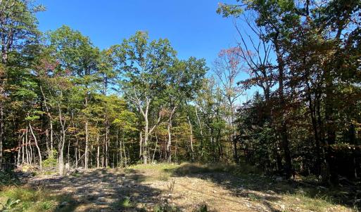 Photo #12 of TBD PANORAMA VIEW DR, STANLEY, VA 9.8 acres