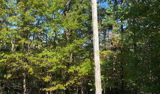 Photo #10 of TBD PANORAMA VIEW DR, STANLEY, VA 9.8 acres