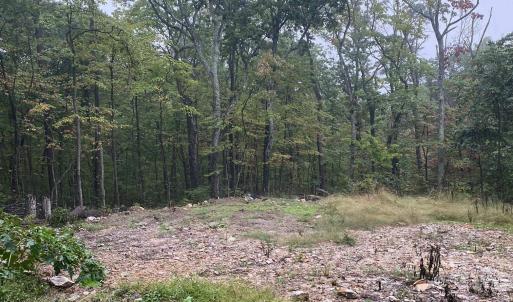 Photo #2 of TBD PANORAMA VIEW DR, STANLEY, VA 9.8 acres