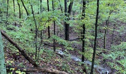 Photo #8 of TBD PANORAMA VIEW DR, STANLEY, VA 9.8 acres
