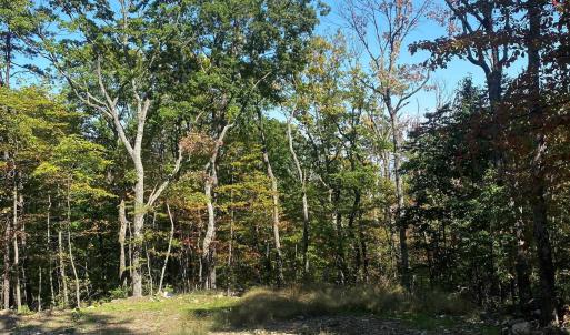 Photo #11 of TBD PANORAMA VIEW DR, STANLEY, VA 9.8 acres