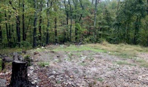 Photo #7 of TBD PANORAMA VIEW DR, STANLEY, VA 9.8 acres