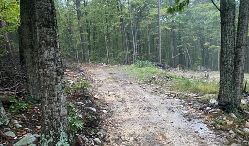 Photo #4 of TBD PANORAMA VIEW DR, STANLEY, VA 9.8 acres