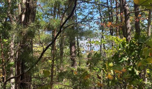Photo #13 of TBD PANORAMA VIEW DR, STANLEY, VA 9.8 acres