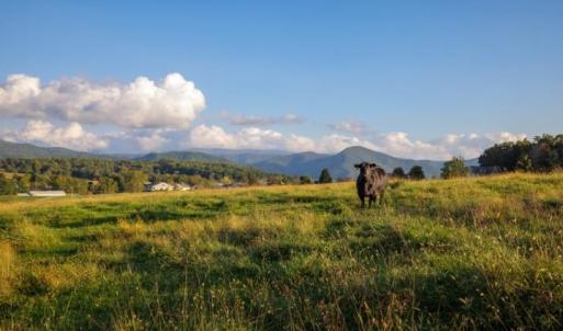 Photo #5 of 47 acres LEE HWY, RAPHINE, VA 47.0 acres