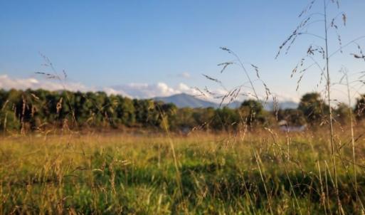 Photo #9 of 47 acres LEE HWY, RAPHINE, VA 47.0 acres