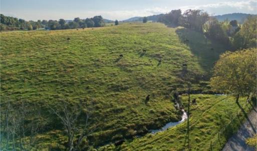 Photo #2 of 47 acres LEE HWY, RAPHINE, VA 47.0 acres