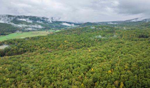 Photo #14 of TBD WHIPPOORWILL LN, MONTEREY, VA 38.8 acres