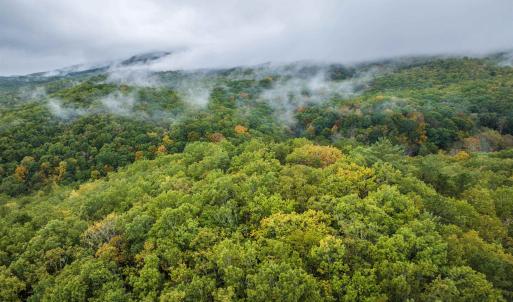 Photo #19 of TBD WHIPPOORWILL LN, MONTEREY, VA 38.8 acres