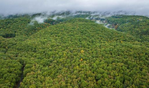 Photo #12 of TBD WHIPPOORWILL LN, MONTEREY, VA 38.8 acres