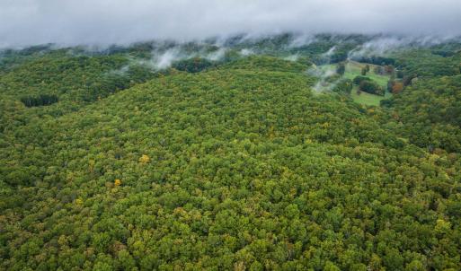Photo #13 of TBD WHIPPOORWILL LN, MONTEREY, VA 38.8 acres