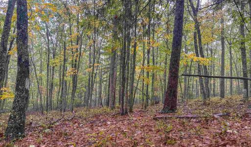 Photo #31 of TBD WHIPPOORWILL LN, MONTEREY, VA 38.8 acres