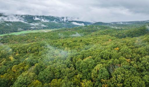 Photo #18 of TBD WHIPPOORWILL LN, MONTEREY, VA 38.8 acres