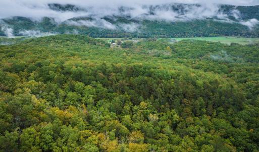 Photo #25 of TBD WHIPPOORWILL LN, MONTEREY, VA 38.8 acres