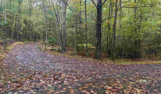 Photo #35 of TBD WHIPPOORWILL LN, MONTEREY, VA 38.8 acres