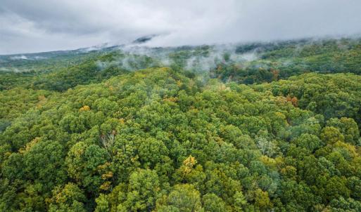Photo #17 of TBD WHIPPOORWILL LN, MONTEREY, VA 38.8 acres