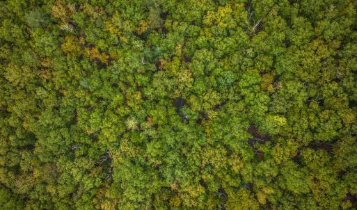 Photo #8 of TBD WHIPPOORWILL LN, MONTEREY, VA 38.8 acres
