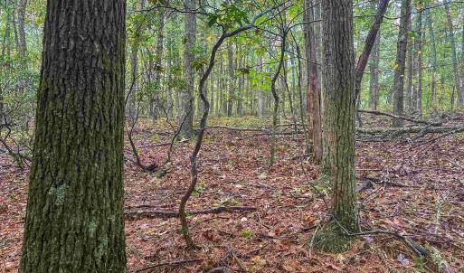 Photo #32 of TBD WHIPPOORWILL LN, MONTEREY, VA 38.8 acres