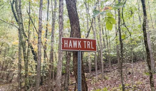 Photo #34 of TBD WHIPPOORWILL LN, MONTEREY, VA 38.8 acres