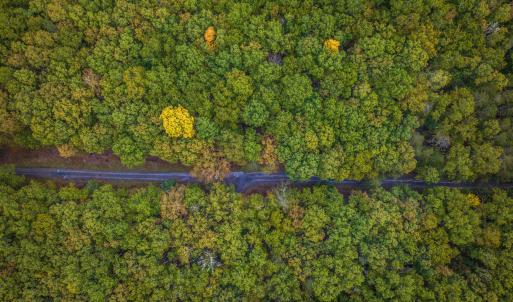 Photo #10 of TBD WHIPPOORWILL LN, MONTEREY, VA 38.8 acres