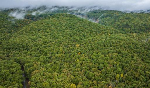 Photo #11 of TBD WHIPPOORWILL LN, MONTEREY, VA 38.8 acres