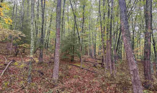 Photo #37 of TBD WHIPPOORWILL LN, MONTEREY, VA 38.8 acres