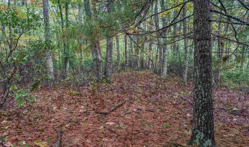 Photo #29 of TBD WHIPPOORWILL LN, MONTEREY, VA 38.8 acres