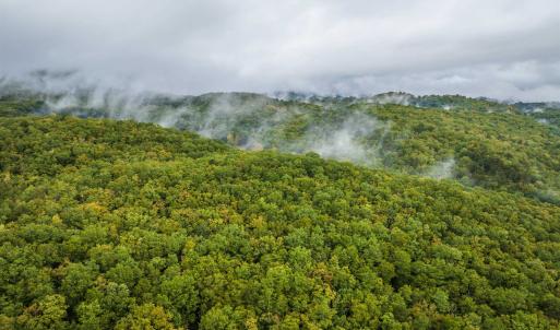 Photo #7 of TBD WHIPPOORWILL LN, MONTEREY, VA 38.8 acres
