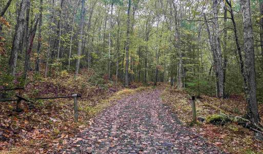 Photo #36 of TBD WHIPPOORWILL LN, MONTEREY, VA 38.8 acres