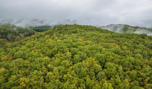 Photo #2 of TBD WHIPPOORWILL LN, MONTEREY, VA 38.8 acres