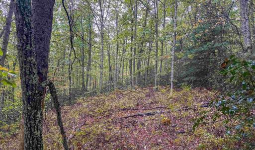 Photo #30 of TBD WHIPPOORWILL LN, MONTEREY, VA 38.8 acres