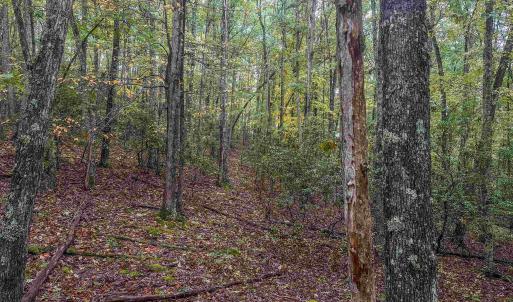 Photo #28 of TBD WHIPPOORWILL LN, MONTEREY, VA 38.8 acres