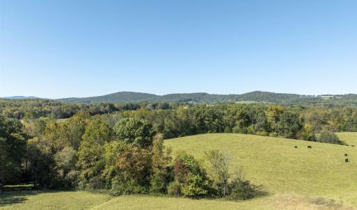 Photo #21 of 14560 MADISON RUN RD, GORDONSVILLE, VA 448.0 acres