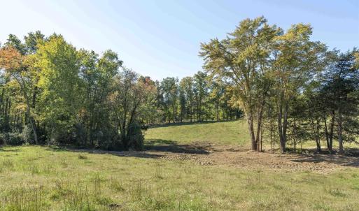 Photo #11 of 14560 MADISON RUN RD, GORDONSVILLE, VA 448.0 acres