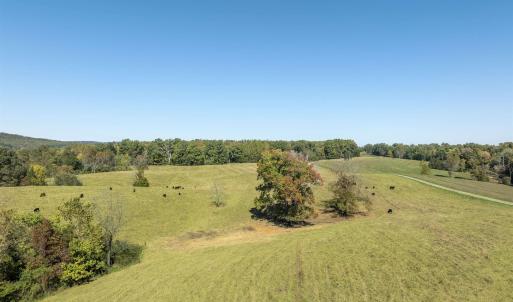 Photo #15 of 14560 MADISON RUN RD, GORDONSVILLE, VA 448.0 acres