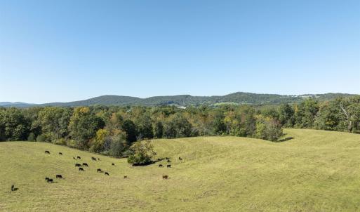 Photo #1 of 14560 MADISON RUN RD, GORDONSVILLE, VA 448.0 acres