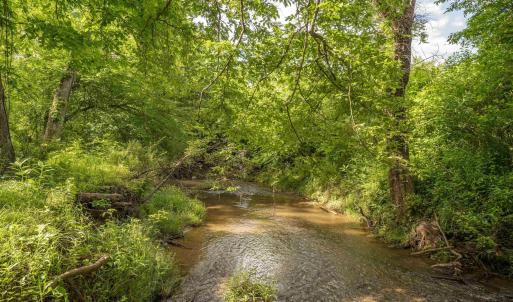 Photo #66 of 14560 MADISON RUN RD, GORDONSVILLE, VA 448.0 acres