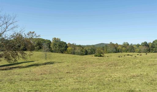 Photo #4 of 14560 MADISON RUN RD, GORDONSVILLE, VA 448.0 acres