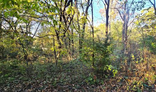 Photo #2 of CAVE SPRING LN, EDINBURG, VA 0.8 acres