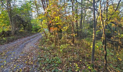 Photo #1 of CAVE SPRING LN, EDINBURG, VA 0.8 acres