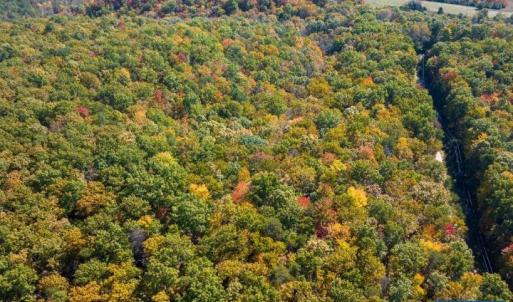 Photo #5 of TBD TREY CT, AMHERST, VA 5.3 acres
