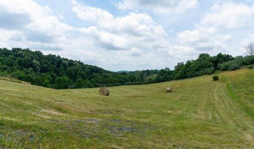 Photo #14 of 25 KOOGLER TRL, RAPHINE, VA 11.3 acres