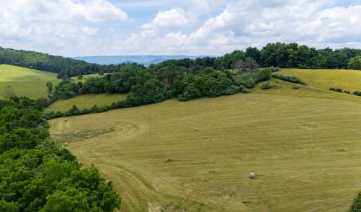 Photo #3 of 25 KOOGLER TRL, RAPHINE, VA 11.3 acres