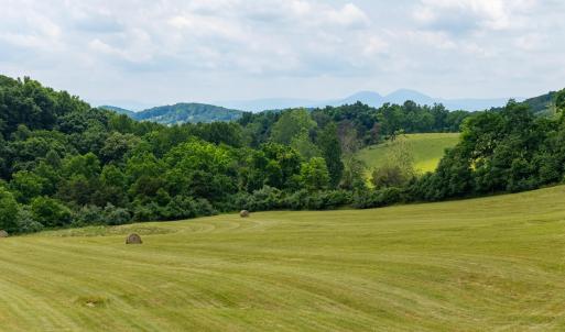 Photo #2 of 25 KOOGLER TRL, RAPHINE, VA 11.3 acres