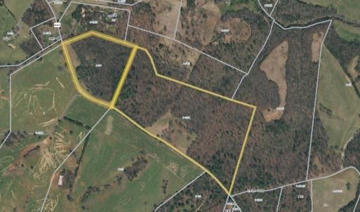 Photo #3 of TBD SIMMONS GAP RD, DYKE, VA 37.3 acres